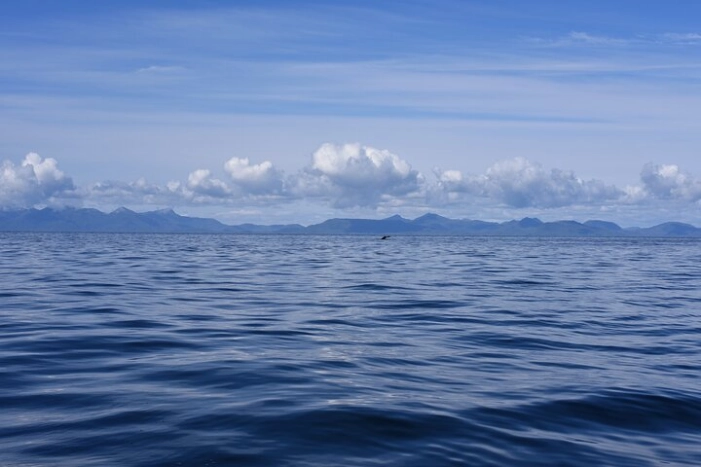 Image 22