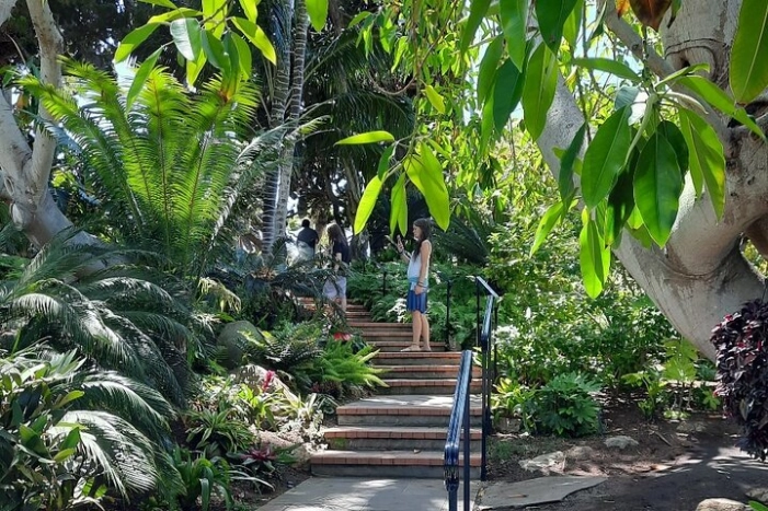 Image 7