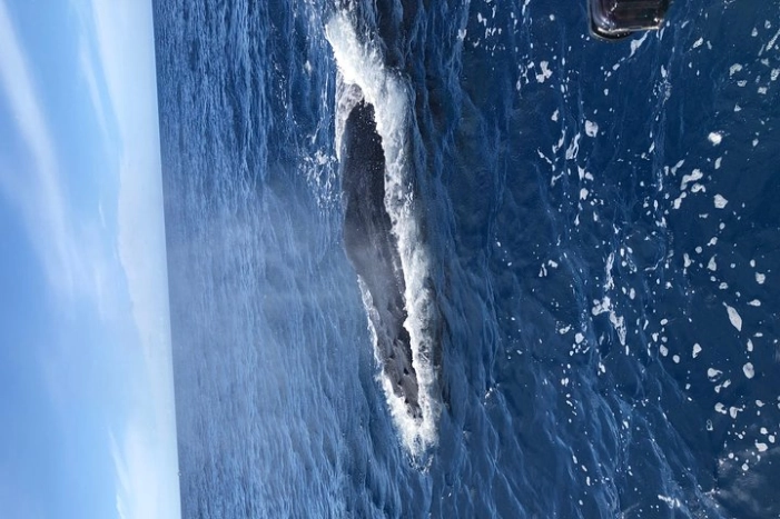Image 9