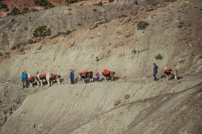 Image 6