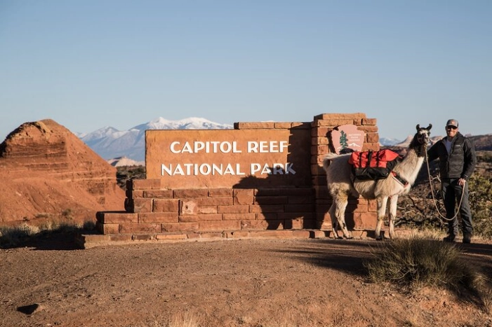 1-Hour Llama Hike Family Friendly and Fun