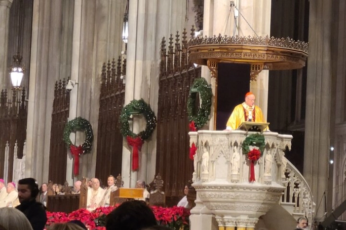 St Patrick's Cathedral Official Holiday Tour 