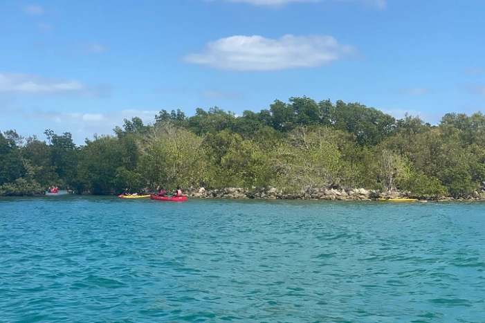 Image 11