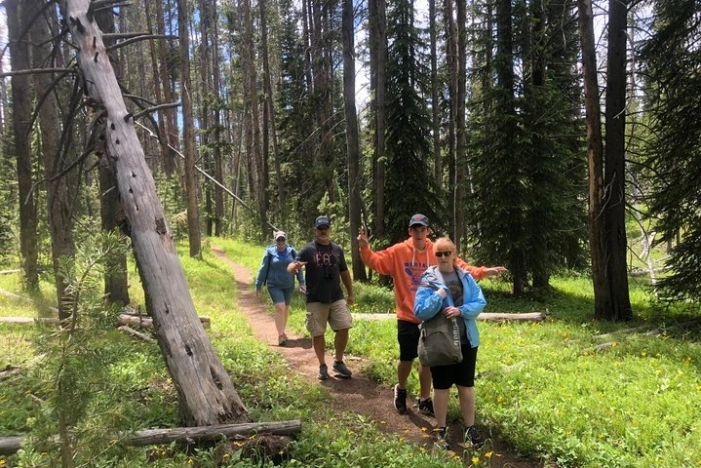 Image 15