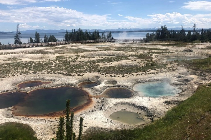 Image 6