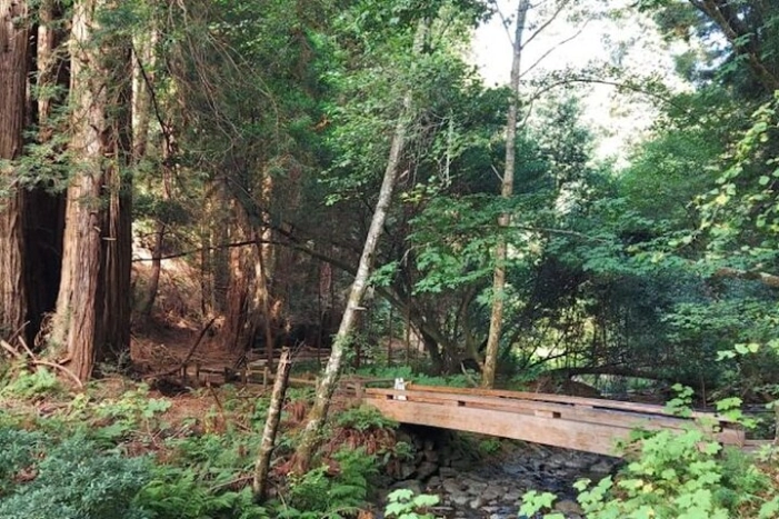 Image 23