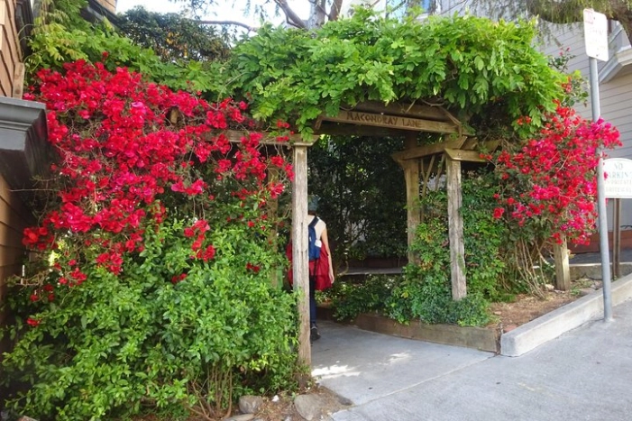 Image 14
