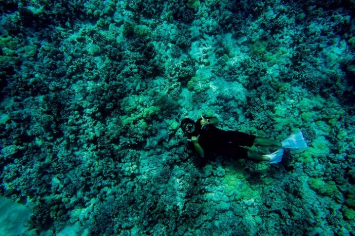 Image 8