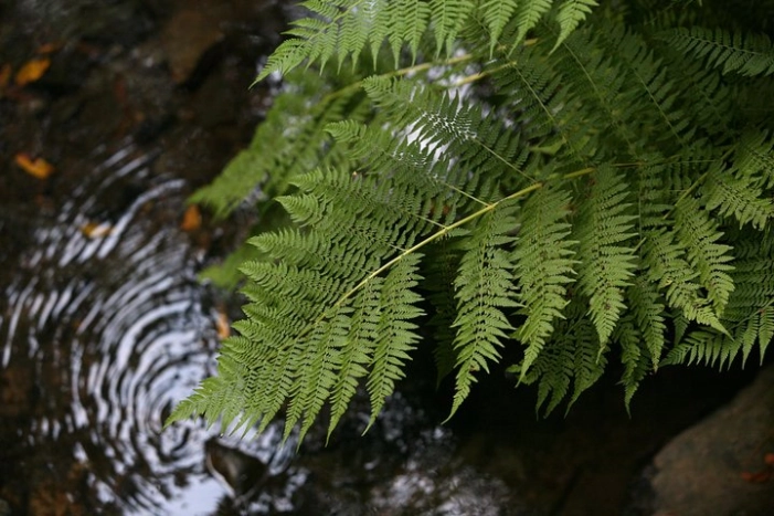 Image 14