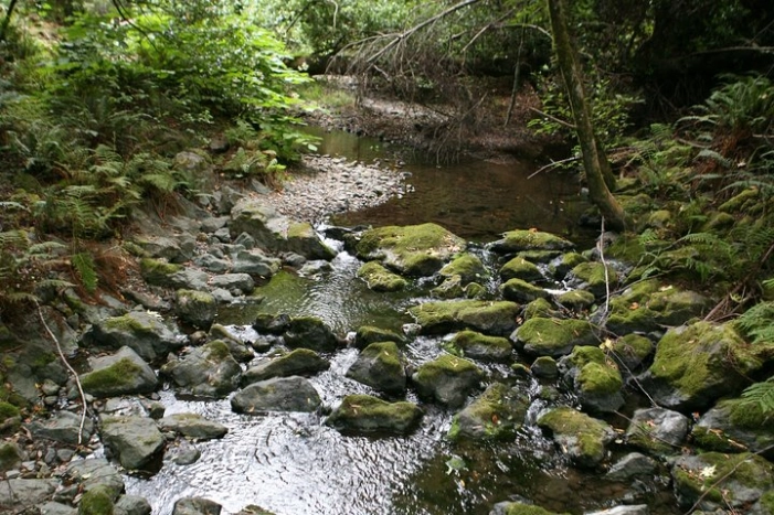 Image 15