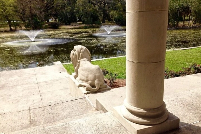 Image 10