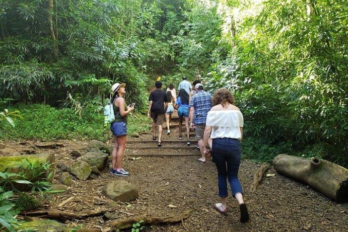 Image 15