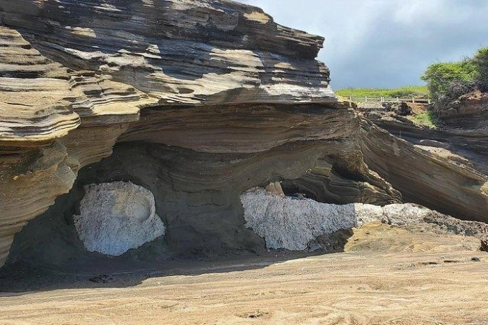 Image 13