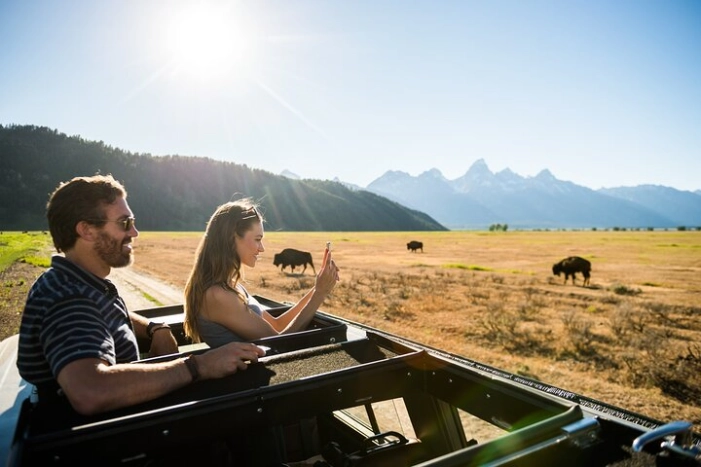 Sunset 4-Hour Grand Teton Wildlife Adventure