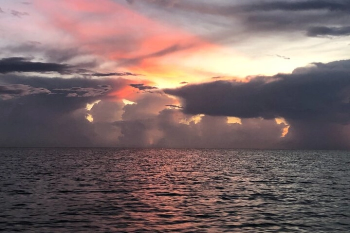 Image 15