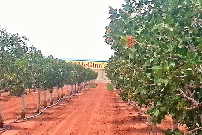 Image 5