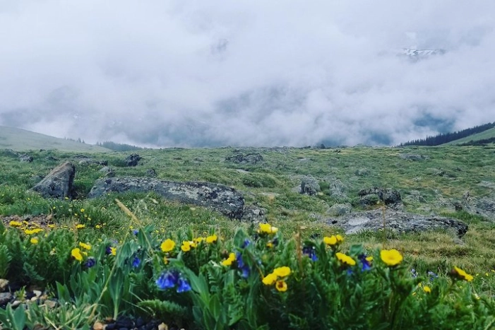 Image 6
