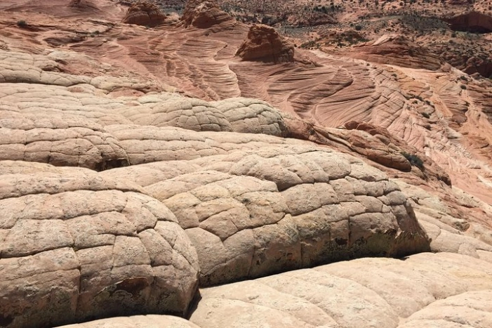 Image 15