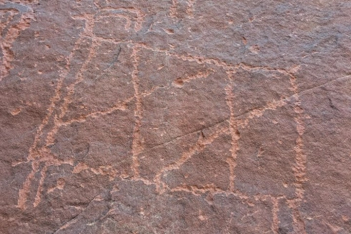 Image 21