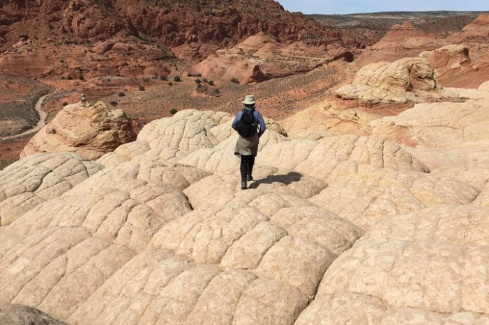 Image 14