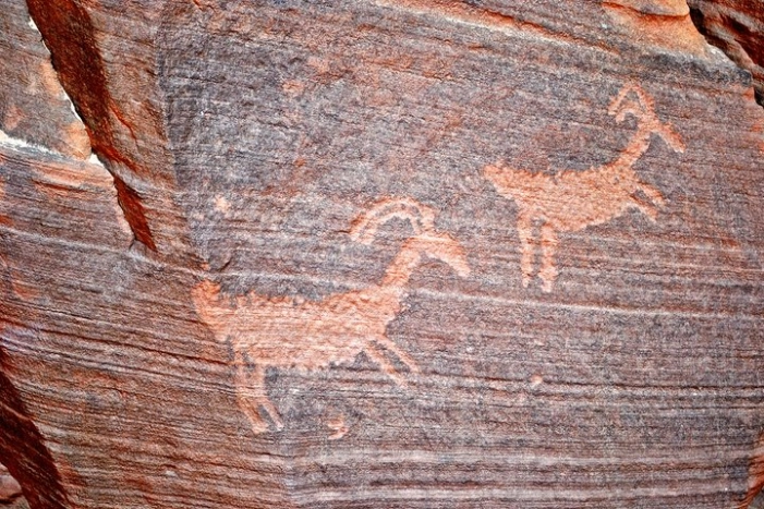 Image 39