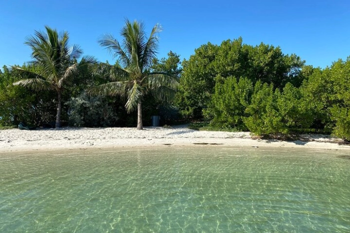 Image 7