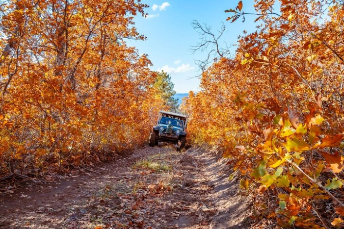 East Zion Brushy Cove Jeep Tour