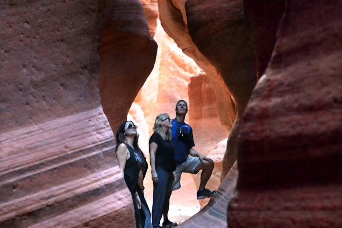 Image 5