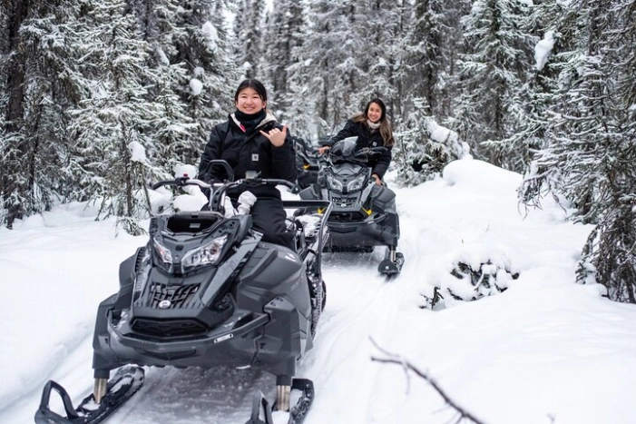 Reindeer and Snowmobile Day Trip to Borealis Basecamp with Lunch