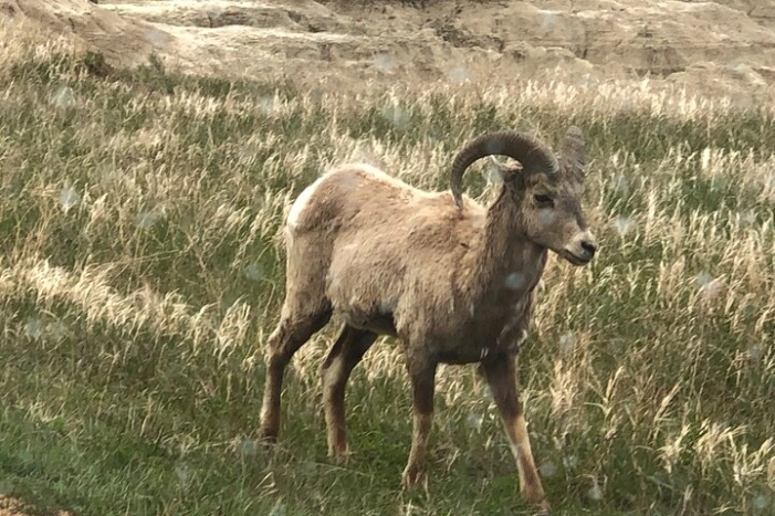 Image 12