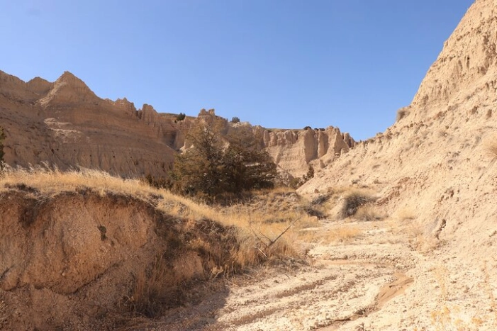 Image 15
