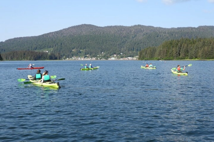 Image 15