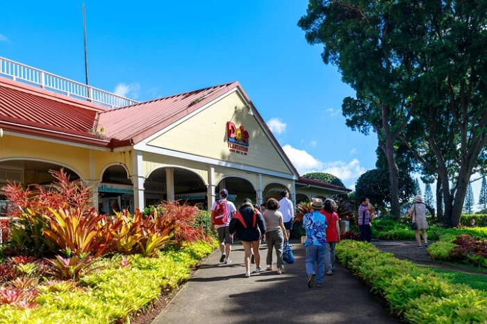 Cozy Oahu Circle Island Tour (14 Max) + Byodo-In Temple + Suprise