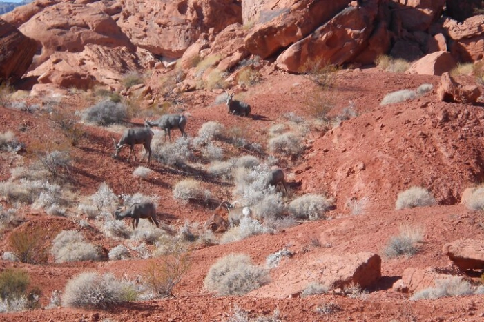 Image 19