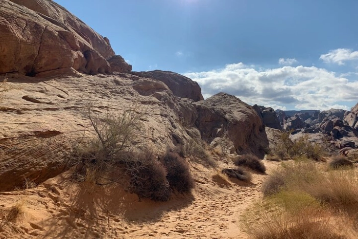 Image 36
