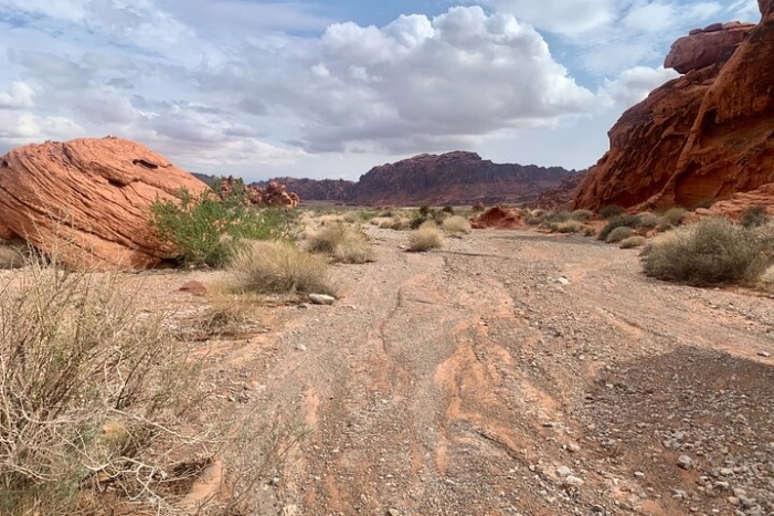 Image 25