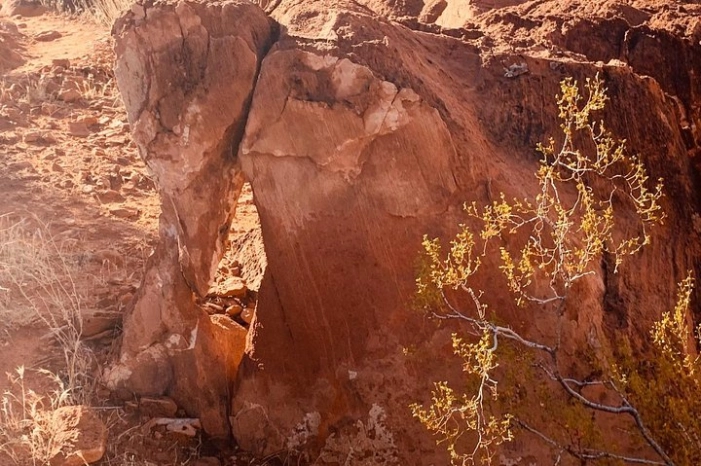 Image 14