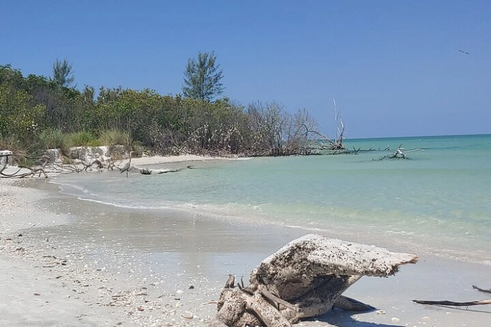 Image 5