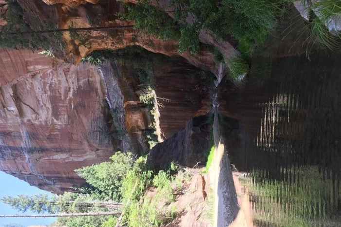 Image 7