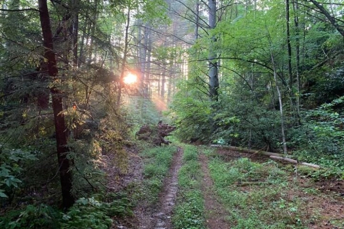 Image 15
