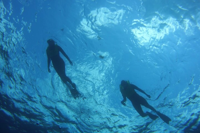 Private Snorkel to Key Largo Reef for up to 12 - INCLUDES GEAR!