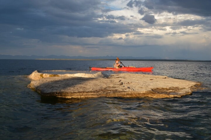 Image 1
