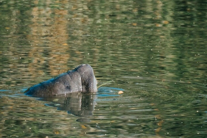 Image 27