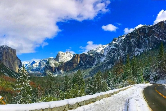Image 12