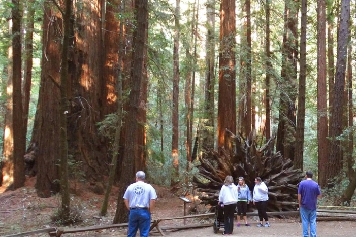 Image 6