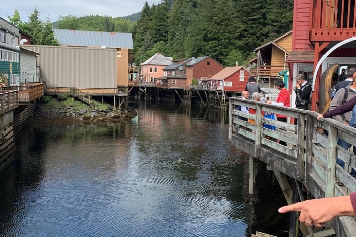 Image 8
