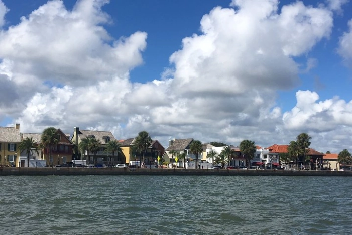Image 8