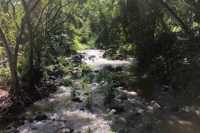 Image 18