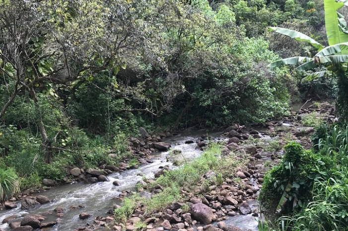 Image 30
