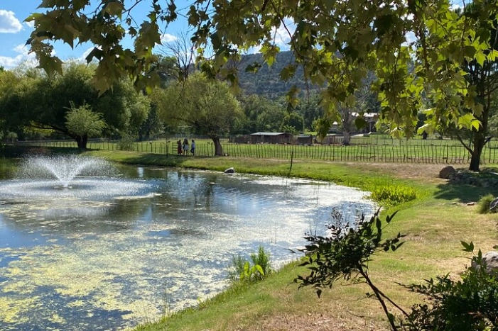 Image 12